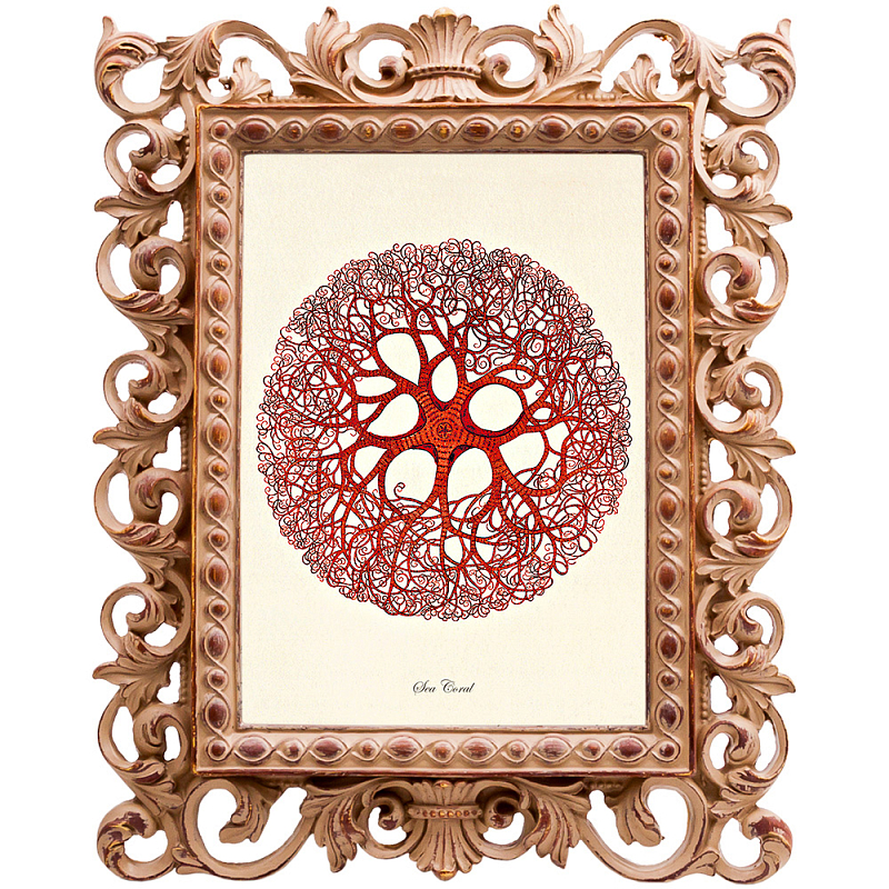Постер Red Coral Poster 6 Бежевый Красный Постер Red Coral Poster 6 Бежевый Красный в Перми | Loft Concept
