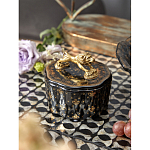 Шкатулка черного цвета с крышкой с фигуркой льва Eden Garden варинант исполнения - 6 | Loft Concept в Перми