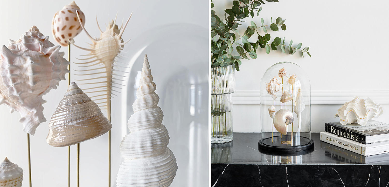 Статуэтка Shell Collection Glass Cloche 1 Статуэтка Shell Collection Glass Cloche 1 - Loft-Concept в Перми