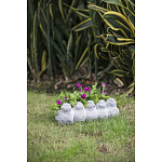 Кашпо Canaries варинант исполнения - 6 | Loft Concept в Перми