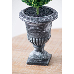 Декоративный искусственное растение Double boxwood варинант исполнения - 7 | Loft Concept в Перми