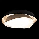 Потолочный светильник круглый черного цвета из металла Vita Cuna варинант исполнения - 1 | Loft Concept в Перми