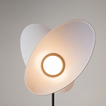 Напольный светильник Evolution 3000К 12Вт варинант исполнения - 5 | Loft Concept в Перми