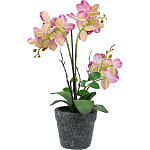 Декоративный искусственное растение Pink orchid варинант исполнения - 5 | Loft Concept в Перми