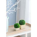 Декоративный искусственное растение Square boxwood варинант исполнения - 5 | Loft Concept в Перми