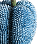 Статуэтка тропический фрукт Tropical Fruit blue варинант исполнения - 3 | Loft Concept в Перми