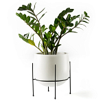 Кашпо из керамики Elevated Planters 32 варинант исполнения - 11 | Loft Concept в Перми