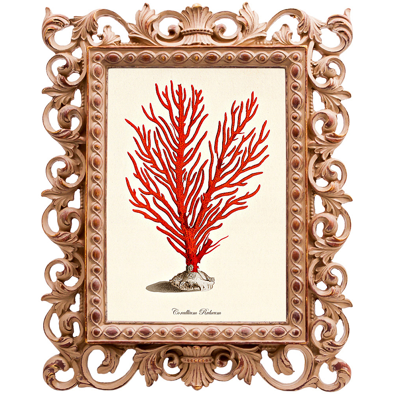 Постер Red Coral Poster 1 Бежевый Красный Постер Red Coral Poster 1 Бежевый Красный в Перми | Loft Concept