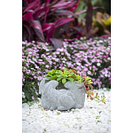 Кашпо A collection of baby rabbits варинант исполнения - 9 | Loft Concept в Перми