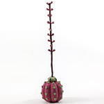 Статуэтка тропический фрукт Pandora Tropical Fruit Tall Pink Green варинант исполнения - 3 | Loft Concept в Перми