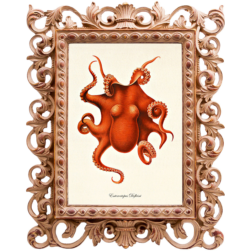 Постер Red Octopus Poster Бежевый Красный в Перми | Loft Concept 