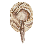 Овальный Современный Гобелен Абстракция в бежевых тонах Shallow варинант исполнения - 7 | Loft Concept в Перми