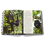 Подарочнный коллекционный фото альбом AFRICAN ADVENTURES NEW 2023 ASSOULINE HC UNBELIEVABLE ILLUSTRATIONS Safari варинант исполнения - 8 | Loft Concept в Перми