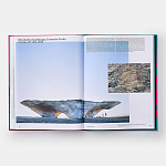 Radical Architecture of the Future варинант исполнения - 4 | Loft Concept в Перми