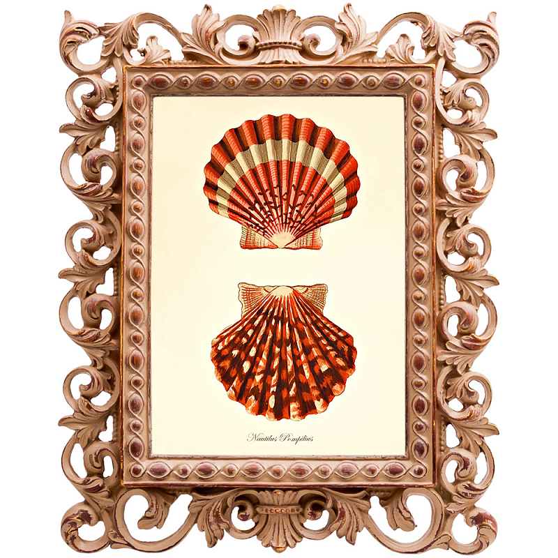 Постер Red Scallop Poster Бежевый Красный в Перми | Loft Concept 