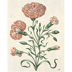 Книга цветов 22 постера Maria Sibylla Merian: 22 Pull-Out Posters варинант исполнения - 4 | Loft Concept в Перми