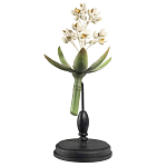 Статуэтка Wonderboom варинант исполнения - 1 | Loft Concept в Перми