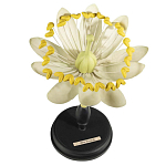 Статуэтка Tilia варинант исполнения - 1 | Loft Concept в Перми