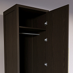 Узкий Шкаф Primo с 2 выдвижными ящиками Темный орех варинант исполнения - 6 | Loft Concept в Перми