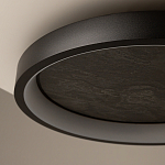 Потолочный светильник Orign 3000К варинант исполнения - 5 | Loft Concept в Перми