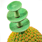 Статуэтка тропический фрукт Tropical Fruit Amazonica Green Yellow варинант исполнения - 1 | Loft Concept в Перми