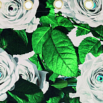Штора Seletti Roses варинант исполнения - 1 | Loft Concept в Перми
