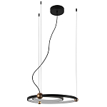 Люстра подвесная светодиодная черный металл Ring Horizontal варинант исполнения - 2 | Loft Concept в Перми