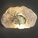 Бра Декоративный лист с стрекозой Glacial Fragment варинант исполнения - 2 | Loft Concept в Перми