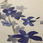 Обои ручная роспись Cherry Tree Original colourway on Stone Ochre dyed silk варинант исполнения - 3 | Loft Concept в Перми