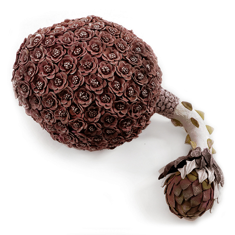 Коричневый фрукт Exotic Fruit Artichoke Brown 42 Коричневый Коричневый фрукт Exotic Fruit Artichoke Brown 42 Коричневый в Перми | Loft Concept