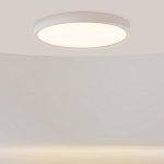 Потолочный светильник Incognito 2700-4000К 46Вт варинант исполнения - 2 | Loft Concept в Перми