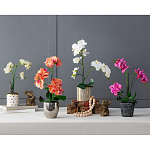 Декоративный искусственное растение Pink orchid варинант исполнения - 11 | Loft Concept в Перми