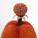 Статуэтка тропический фрукт Tropical Fruit Orange Prickly Berry варинант исполнения - 2 | Loft Concept в Перми