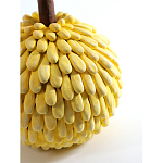 Статуэтка тропический фрукт Pandora Tropical Fruit Yellow Emerald Flower варинант исполнения - 2 | Loft Concept в Перми