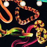 Штора Seletti Snakes Black варинант исполнения - 1 | Loft Concept в Перми