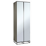 Двухдверный шкаф с зеркальными дверцами Strict Lines варинант исполнения - 1 | Loft Concept в Перми