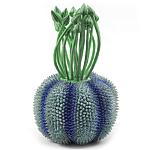 Статуэтка экзотический фрукт Exotic Tropical Fruit Green and Blue 64 варинант исполнения - 1 | Loft Concept в Перми