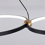 Люстра подвесная светодиодная черный металл Ring Horizontal варинант исполнения - 11 | Loft Concept в Перми