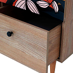 Шкаф с принтом Kario варинант исполнения - 3 | Loft Concept в Перми