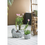 Кашпо A collection of baby rabbits варинант исполнения - 4 | Loft Concept в Перми