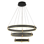 Люстра светодиодная с 3-мя плафонами в форме колец из акрила и алюминия с пультом для регулировки света Ring Horizontal Anthracite варинант исполнения - 1 | Loft Concept в Перми