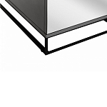 Двухдверный шкаф с зеркальными дверцами Strict Lines варинант исполнения - 4 | Loft Concept в Перми