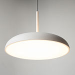 Подвесной светильник Gerhard 3000К 39Вт варинант исполнения - 10 | Loft Concept в Перми