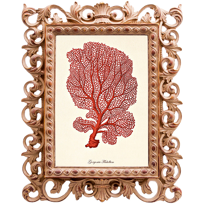 Постер Red Coral Poster 5 Бежевый Красный Постер Red Coral Poster 5 Бежевый Красный в Перми | Loft Concept
