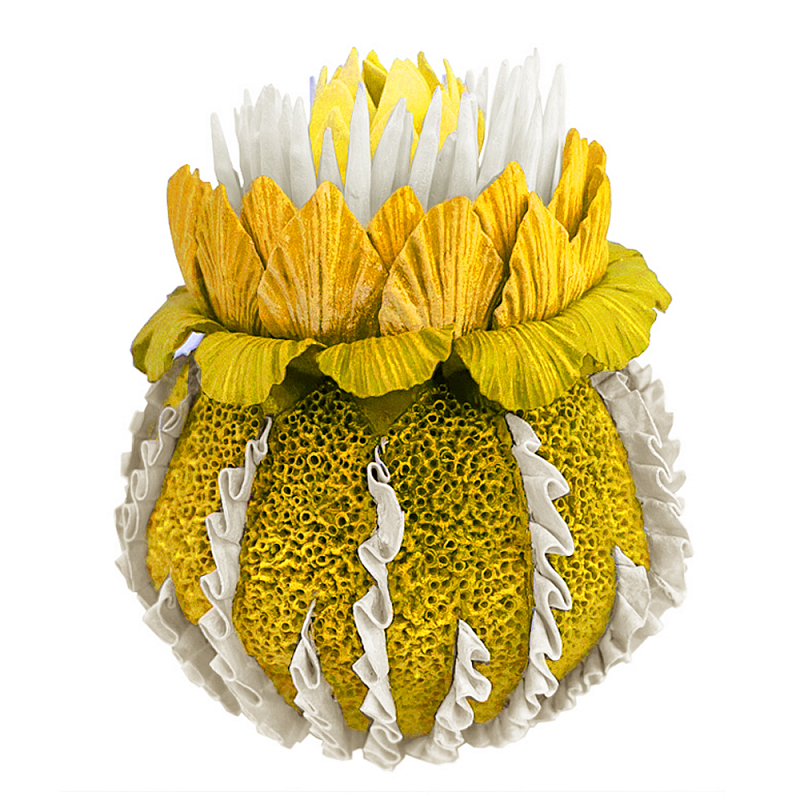 Желтый Экзотический фрукт Yellow Pandora Exotic Fruit 44 Желтый Желтый Экзотический фрукт Yellow Pandora Exotic Fruit 44 Желтый в Перми | Loft Concept
