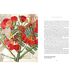 Прекрасно иллюстрированная книга более 100 ботанических произведений Plant Hunters Atlas варинант исполнения - 5 | Loft Concept в Перми