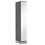 Шкаф-пенал с зеркальной дверцей и фасадом цвета графит Strict Lines варинант исполнения - 2 | Loft Concept в Перми