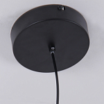 Люстра подвесная светодиодная черный металл Ring Horizontal варинант исполнения - 6 | Loft Concept в Перми