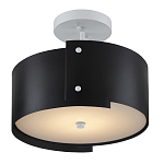 Потолочный светильник круглый светодиодный Semicircular White Panels чёрный варинант исполнения - 2 | Loft Concept в Перми