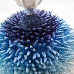 Статуэтка Синий тропический фрукт Tropical Fruit Pandora 4 варинант исполнения - 1 | Loft Concept в Перми